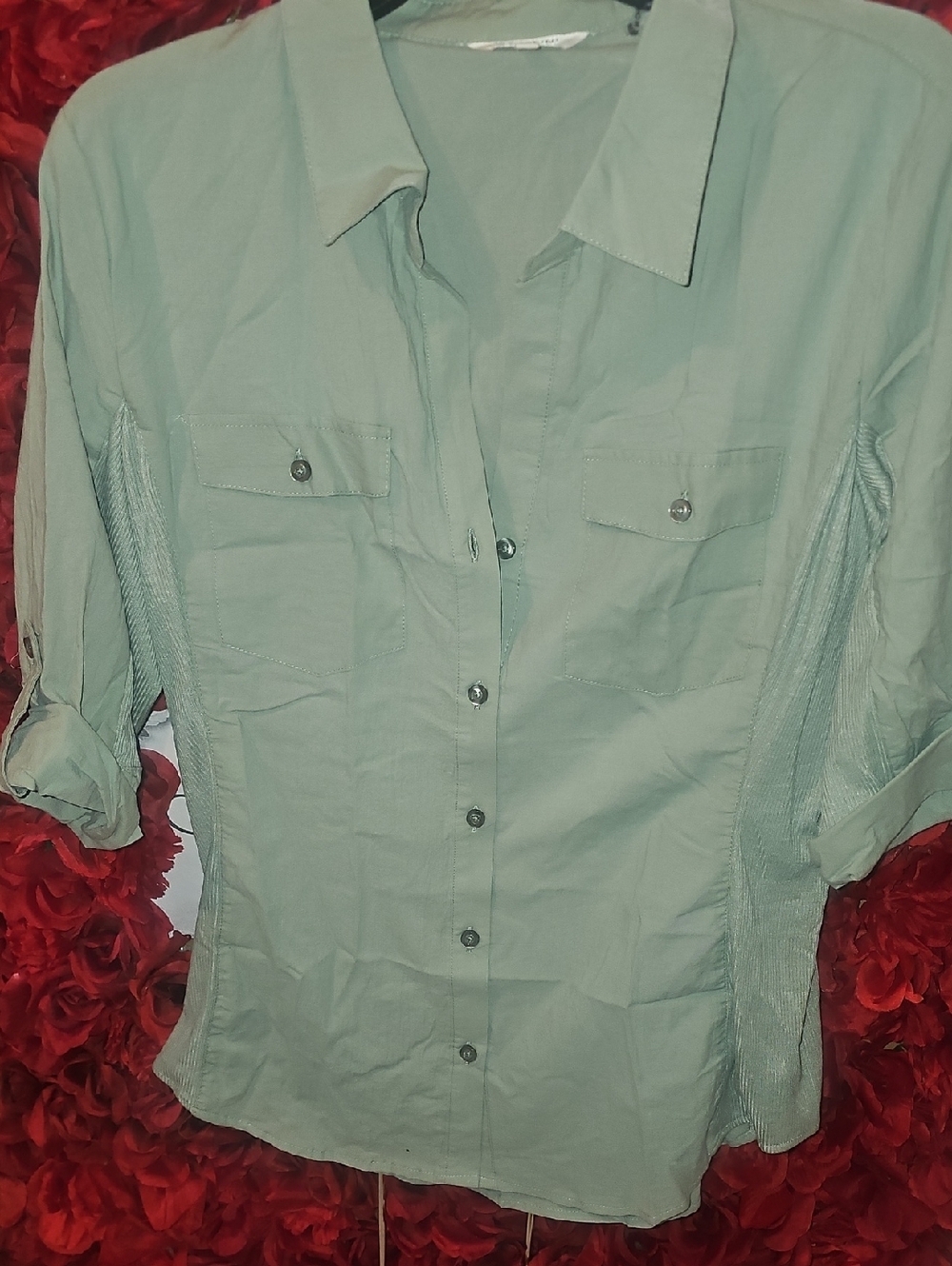 Cavalini Sage Green Casual Button Down Shirt with Adj. Sleeves Size Large